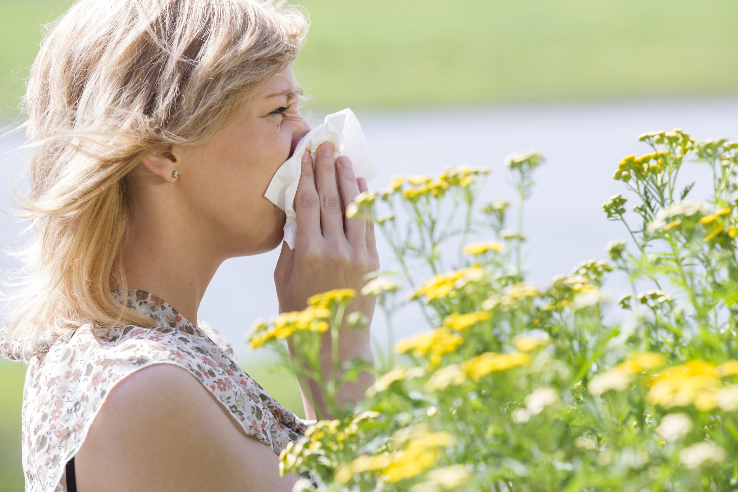Side view of woman blowing nose into tissue in front of flowers. Pressure Washing Pollen