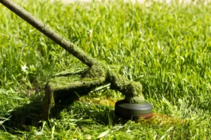 Protect Your New Paint Job from Damage